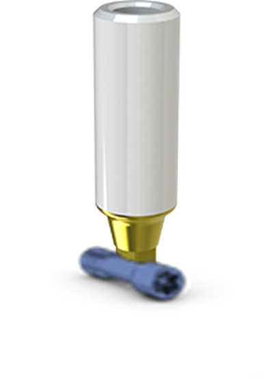 CASTING ABUTMENTS & SCREWS